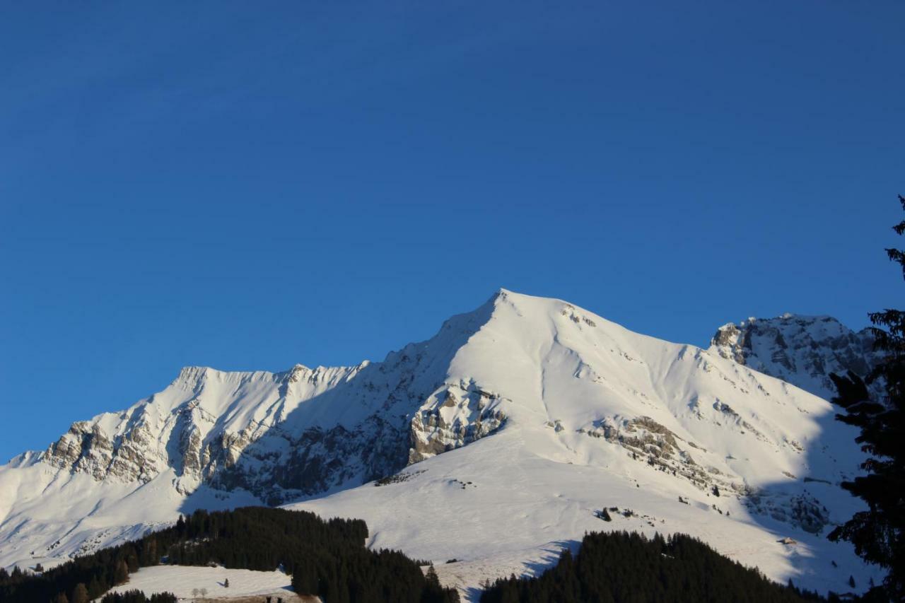 Apartmán The Engstligen Adelboden Exteriér fotografie